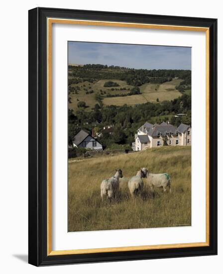 Sheep, Woodmancote Village Viewed from Cleeve Hill, the Cotswolds, Gloucestershire, England-David Hughes-Framed Photographic Print