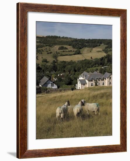 Sheep, Woodmancote Village Viewed from Cleeve Hill, the Cotswolds, Gloucestershire, England-David Hughes-Framed Photographic Print