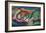 Sheep-Franz Marc-Framed Giclee Print