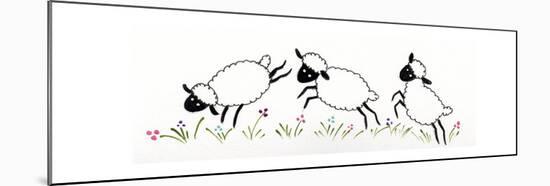 Sheep-Beverly Johnston-Mounted Giclee Print