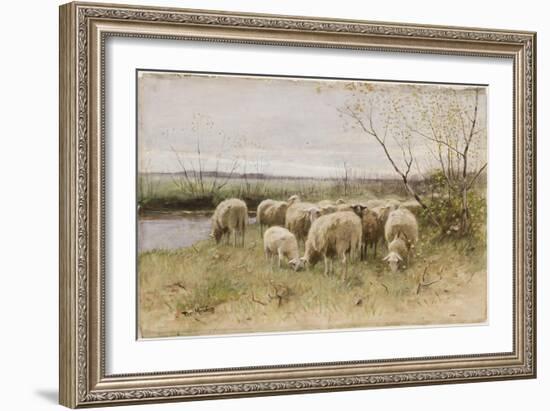 Sheep-Francois Pieter Ter Meulen-Framed Giclee Print