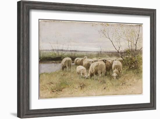 Sheep-Francois Pieter Ter Meulen-Framed Giclee Print