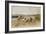 Sheep-Francois Pieter Ter Meulen-Framed Giclee Print