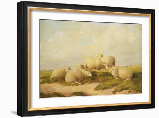 Sheep-Thomas Sidney Cooper-Framed Giclee Print