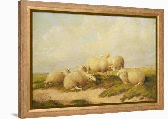 Sheep-Thomas Sidney Cooper-Framed Premier Image Canvas