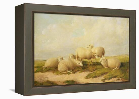 Sheep-Thomas Sidney Cooper-Framed Premier Image Canvas