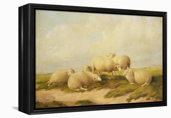 Sheep-Thomas Sidney Cooper-Framed Premier Image Canvas