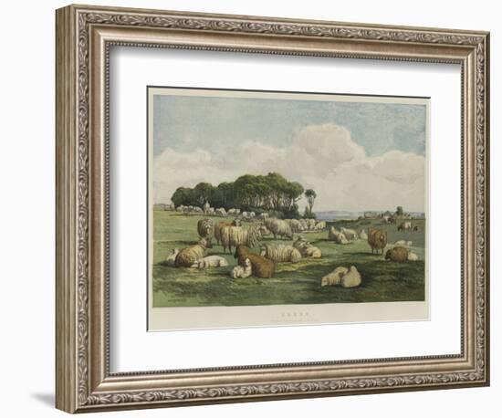 Sheep-Edward Duncan-Framed Giclee Print