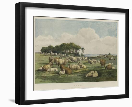 Sheep-Edward Duncan-Framed Giclee Print