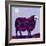 Sheep-Teofilo Olivieri-Framed Giclee Print