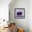 Sheep-Teofilo Olivieri-Framed Giclee Print displayed on a wall