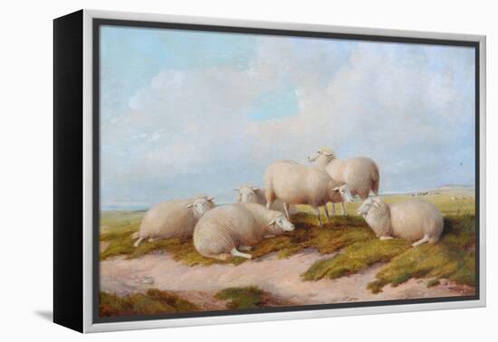 Sheep-Thomas Sidney Cooper-Framed Premier Image Canvas