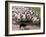 Sheepdog and Sheep, Pentland Hills Near Edinburgh, Lothian, Scotland, United Kingdom, Europe-Patrick Dieudonne-Framed Photographic Print