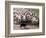 Sheepdog and Sheep, Pentland Hills Near Edinburgh, Lothian, Scotland, United Kingdom, Europe-Patrick Dieudonne-Framed Photographic Print