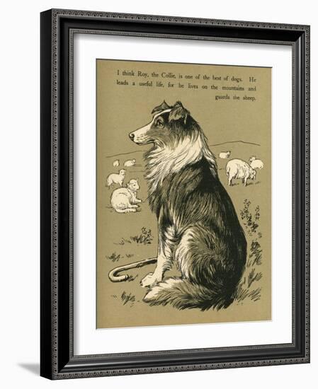 Sheepdog Guarding Flock of Sheep-null-Framed Photographic Print