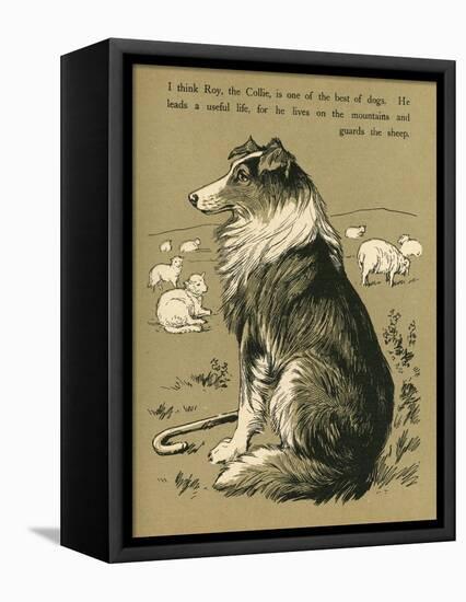 Sheepdog Guarding Flock of Sheep-null-Framed Premier Image Canvas