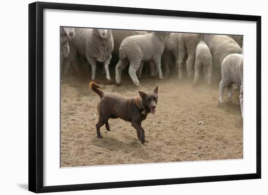 Photographic Print, , large