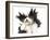 Sheepdog On White Background-kaprizka-Framed Art Print