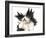 Sheepdog On White Background-kaprizka-Framed Art Print