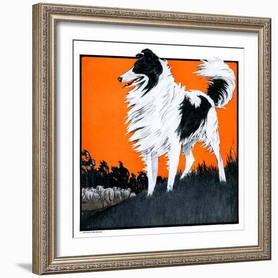 "Sheepdog Oversees Flock,"June 14, 1924-Paul Bransom-Framed Giclee Print