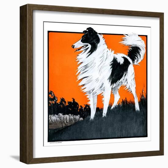 "Sheepdog Oversees Flock,"June 14, 1924-Paul Bransom-Framed Giclee Print