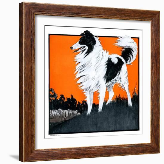 "Sheepdog Oversees Flock,"June 14, 1924-Paul Bransom-Framed Giclee Print