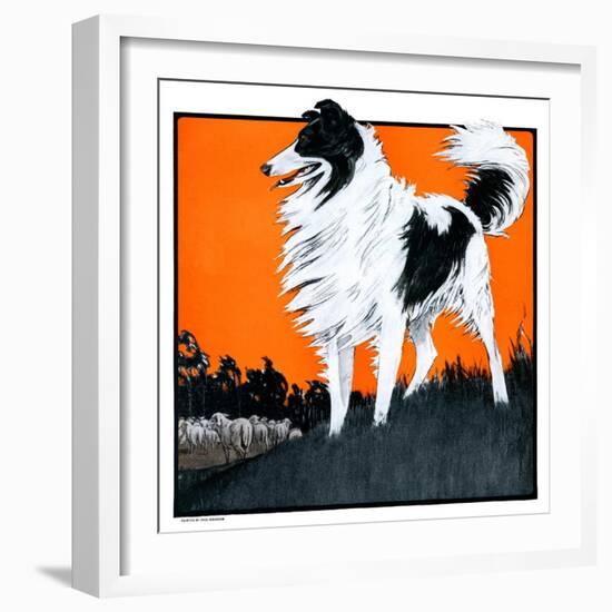 "Sheepdog Oversees Flock,"June 14, 1924-Paul Bransom-Framed Giclee Print