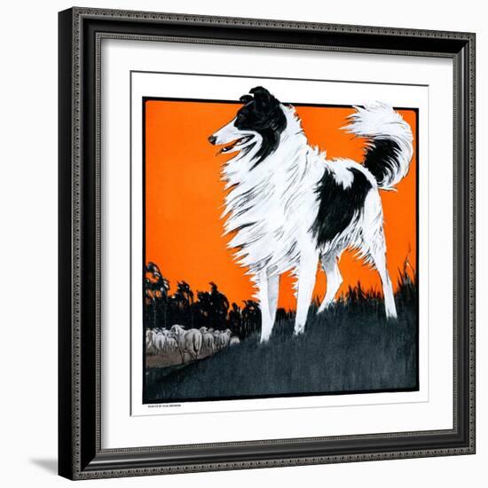 "Sheepdog Oversees Flock,"June 14, 1924-Paul Bransom-Framed Giclee Print