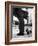 Sheepdog Puppy Stealing a String of Sausages Which are Hanging Down from a Wicker Shopping Basket-null-Framed Photographic Print