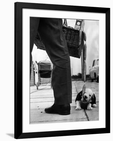 Photographic Print, , large
