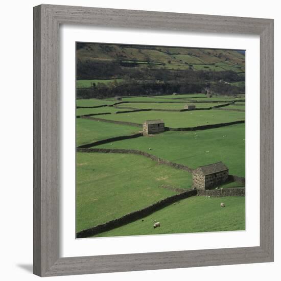 Sheepfolds, Gunnerside, North Yorkshire, England-Joe Cornish-Framed Photographic Print