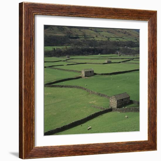 Sheepfolds, Gunnerside, North Yorkshire, England-Joe Cornish-Framed Photographic Print