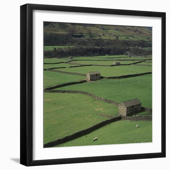 Sheepfolds, Gunnerside, North Yorkshire, England-Joe Cornish-Framed Photographic Print