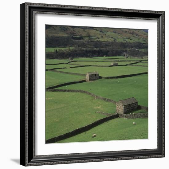 Sheepfolds, Gunnerside, North Yorkshire, England-Joe Cornish-Framed Photographic Print