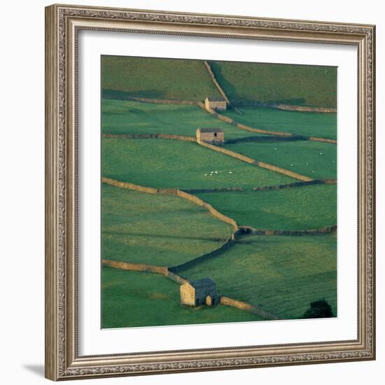 Sheepfolds, Gunnerside, North Yorkshire, England-Joe Cornish-Framed Photographic Print