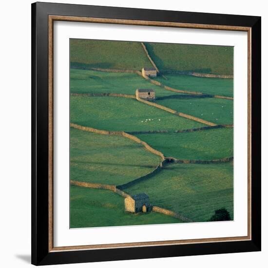 Sheepfolds, Gunnerside, North Yorkshire, England-Joe Cornish-Framed Photographic Print