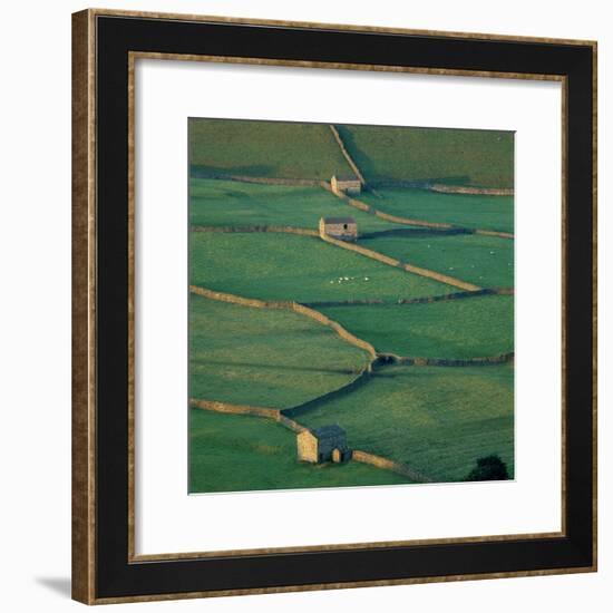 Sheepfolds, Gunnerside, North Yorkshire, England-Joe Cornish-Framed Photographic Print