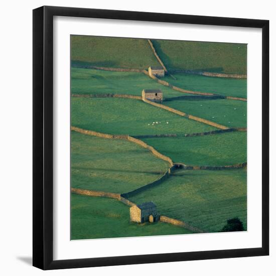 Sheepfolds, Gunnerside, North Yorkshire, England-Joe Cornish-Framed Photographic Print