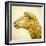 Sheeps Head-Mark Gemmell-Framed Premium Photographic Print