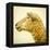 Sheeps Head-Mark Gemmell-Framed Premier Image Canvas