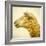 Sheeps Head-Mark Gemmell-Framed Photographic Print