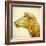 Sheeps Head-Mark Gemmell-Framed Photographic Print