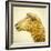 Sheeps Head-Mark Gemmell-Framed Photographic Print