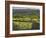 Sheepstor, Dartmoor, Devon, England-Peter Adams-Framed Photographic Print