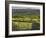 Sheepstor, Dartmoor, Devon, England-Peter Adams-Framed Photographic Print