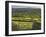 Sheepstor, Dartmoor, Devon, England-Peter Adams-Framed Photographic Print