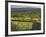 Sheepstor, Dartmoor, Devon, England-Peter Adams-Framed Photographic Print