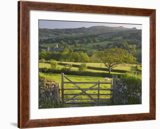 Sheepstor, Dartmoor, Devon, England-Peter Adams-Framed Photographic Print