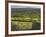 Sheepstor, Dartmoor, Devon, England-Peter Adams-Framed Photographic Print