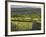 Sheepstor, Dartmoor, Devon, England-Peter Adams-Framed Photographic Print